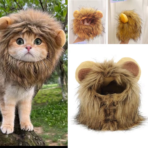 Cat Lion Head Pet Hair Decoration Cute and Funny Lion Ear Wig Hat Halloween Costume Fancy Hat Pet Headwear Hat Decorative Produc