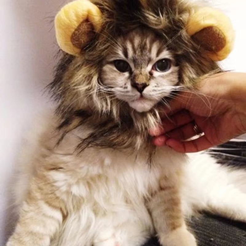 Cat Lion Head Pet Hair Decoration Cute and Funny Lion Ear Wig Hat Halloween Costume Fancy Hat Pet Headwear Hat Decorative Produc